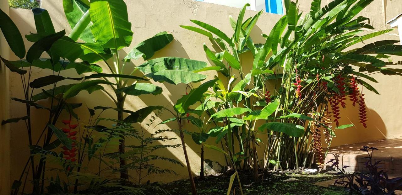 Mh Boutique Hotel San Pedro Sula Luaran gambar