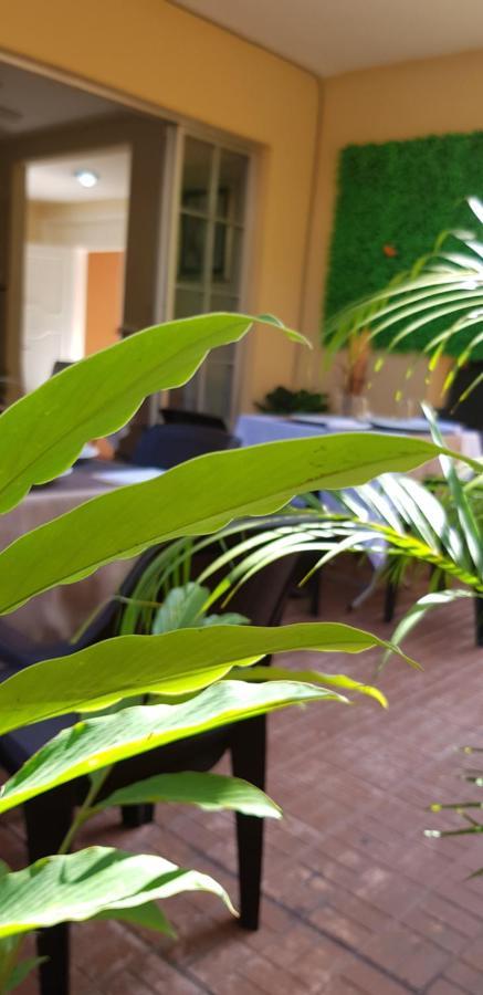 Mh Boutique Hotel San Pedro Sula Luaran gambar
